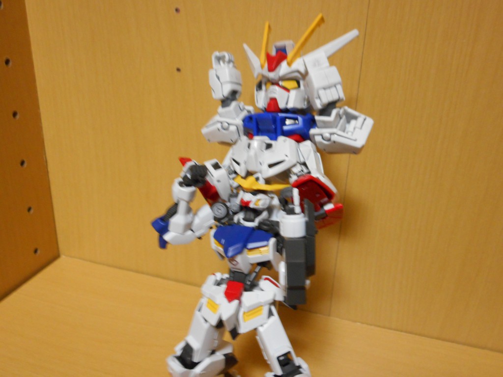 DSCN0049