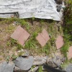DSCN0008